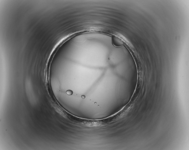 X0000086020891200704091111