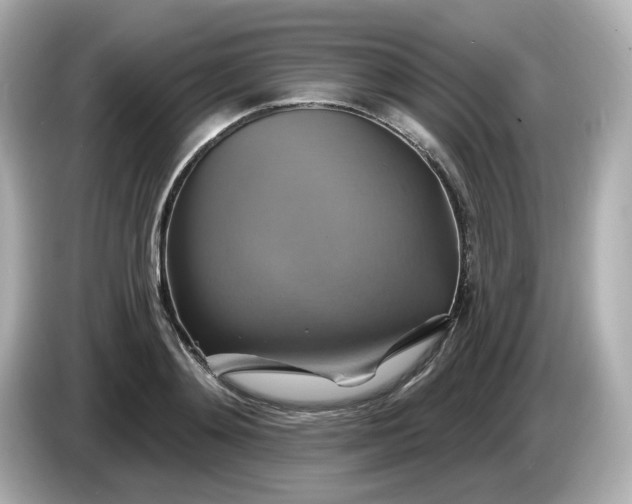 X0000086020892200704091111
