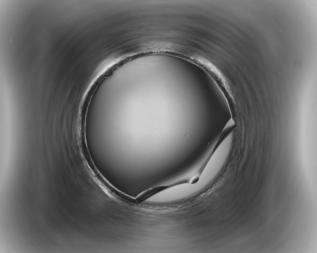 X0000086020894200704091111
