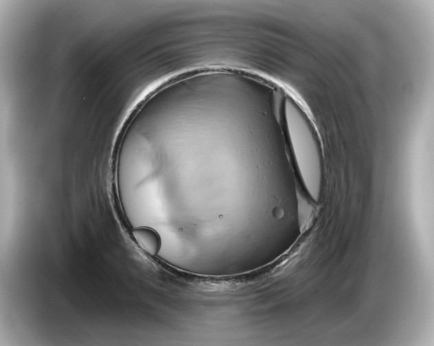 X0000086020895200704091111