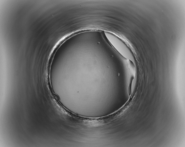 X0000086020896200704091111