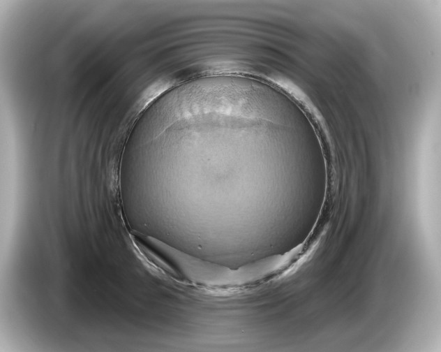 X0000086020897200704091111