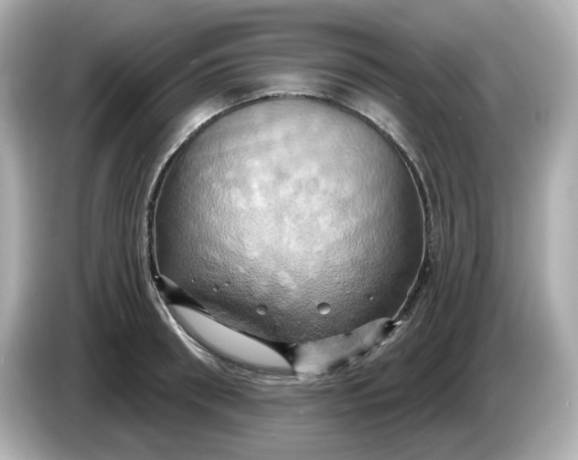 X0000086020898200704091111