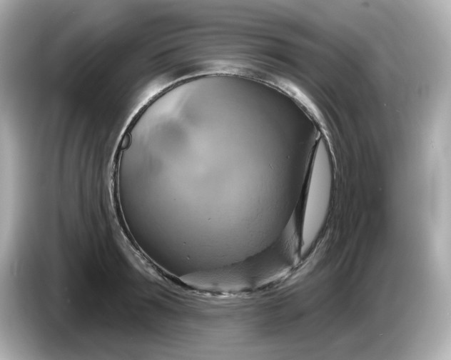 X0000086020899200704091111