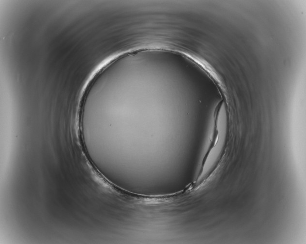 X0000086020904200704091111