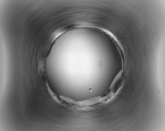X0000086020905200704091111