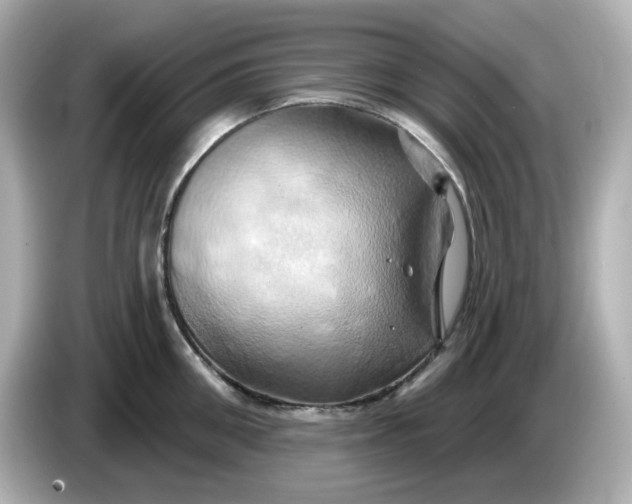X0000086020906200704091111