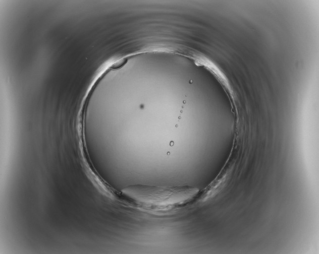 X0000086020907200704091111