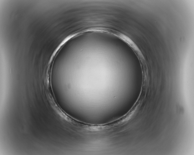 X0000086020908200704091111