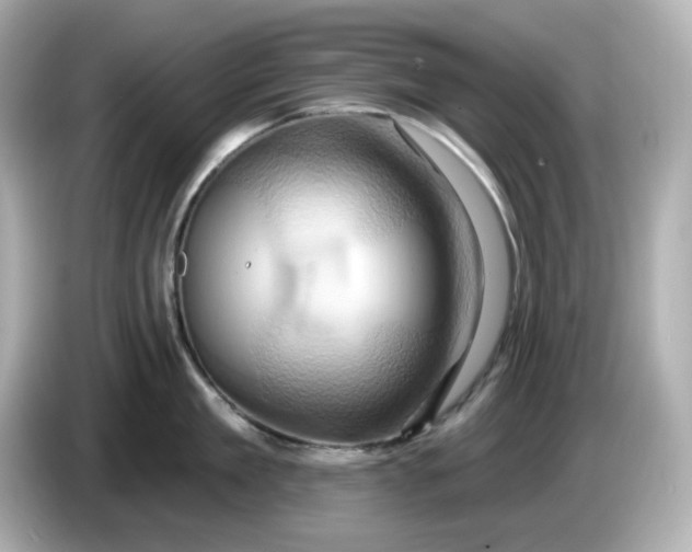 X0000086020909200704091111
