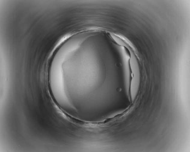 X0000086020910200704091111