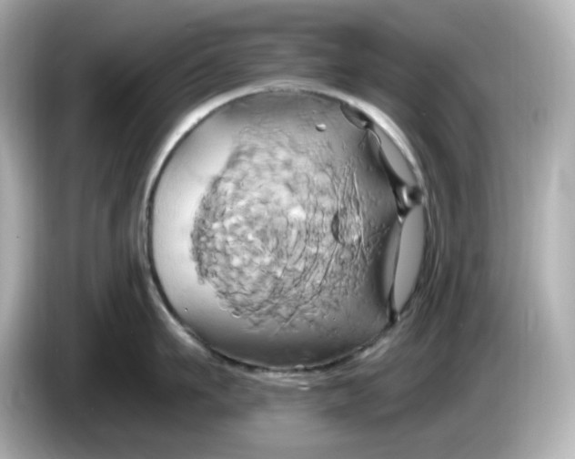 X0000086020911200704091111