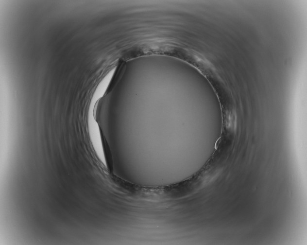 X0000086020915200704091111