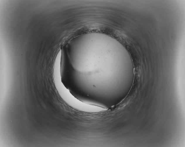 X0000086020916200704091111