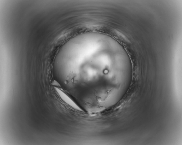 X0000086020917200704091111