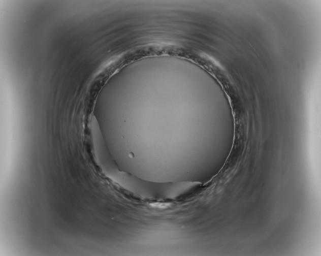X0000086020919200704091111