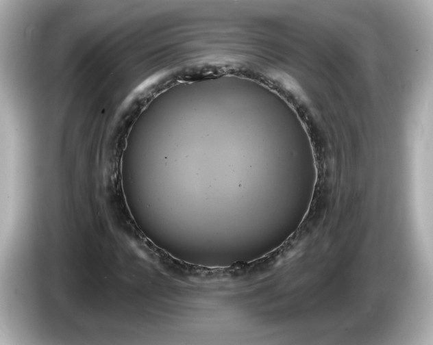 X0000086020920200704091111