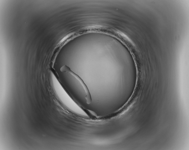 X0000086020921200704091111