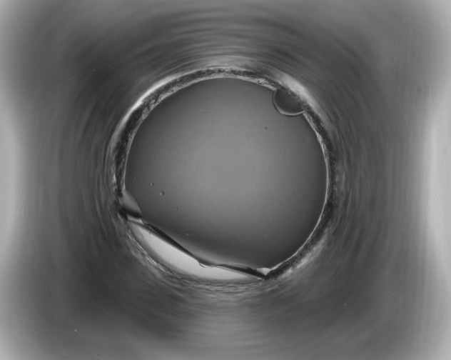 X0000086020923200704091111