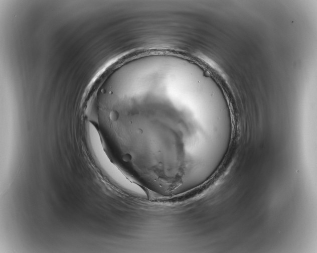 X0000086020925200704091111