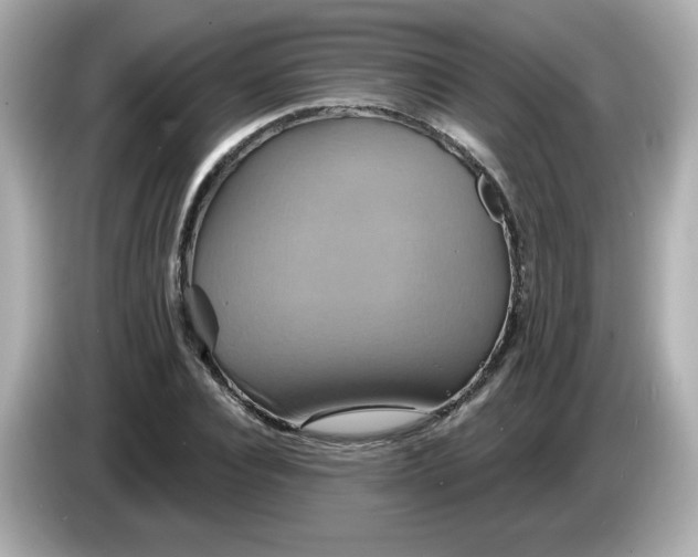 X0000086020928200704091111