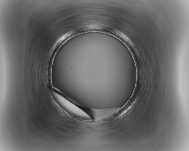 X0000086020930200704091111