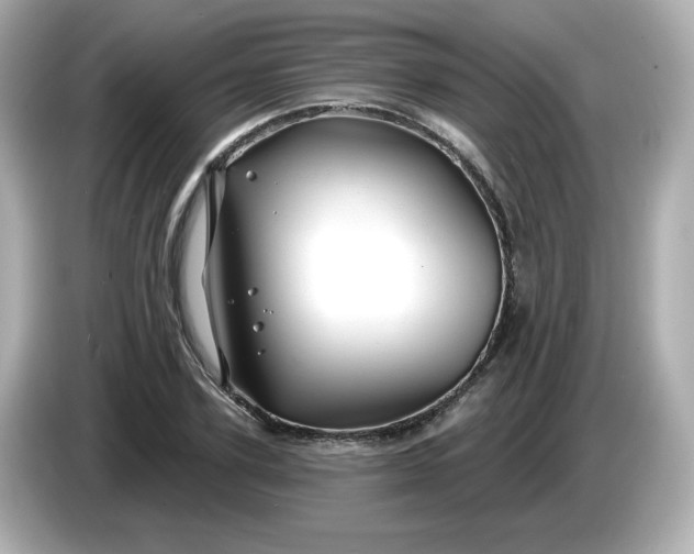 X0000086020931200704091111