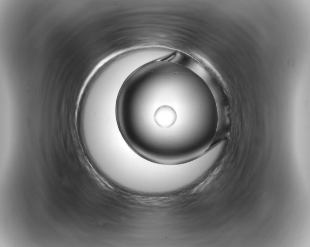 X0000086020932200704091111