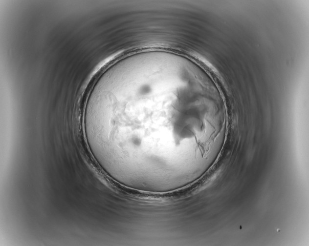 X0000086020933200704091111