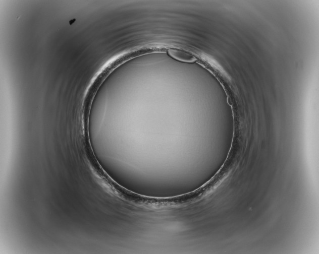 X0000086020934200704091111