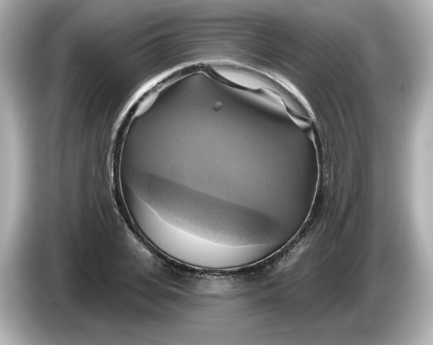 X0000086020935200704091111