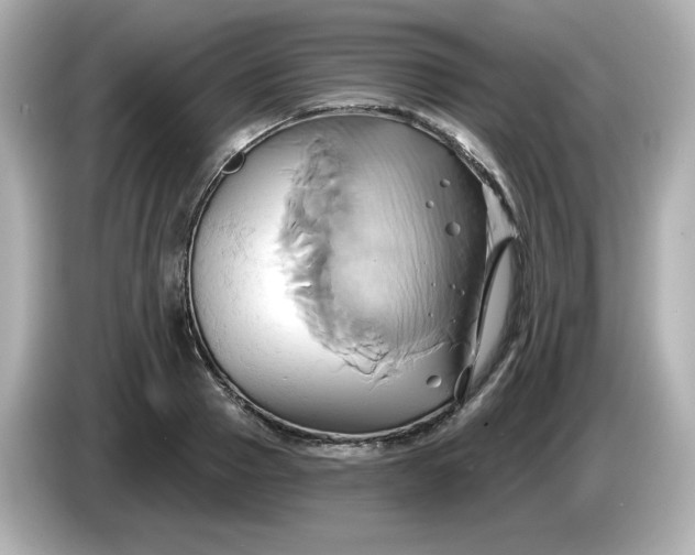 X0000086020937200704091111