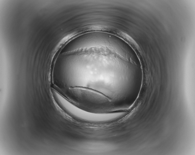 X0000086020938200704091111