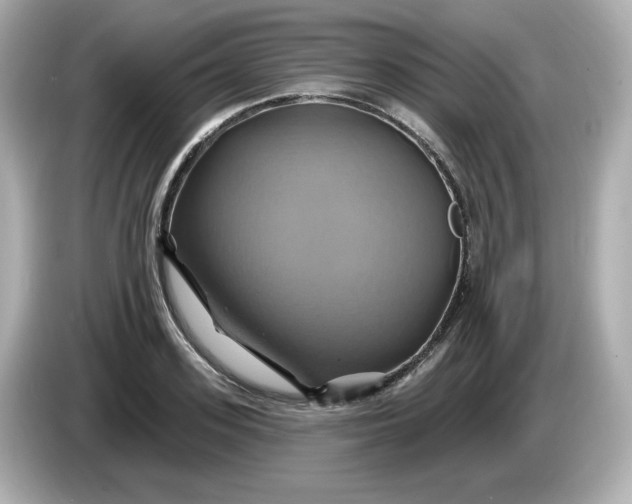X0000086020939200704091111