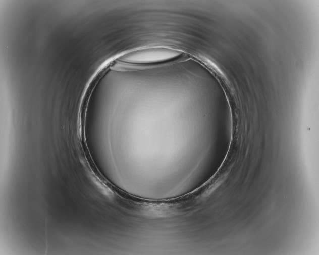 X0000086020940200704091111