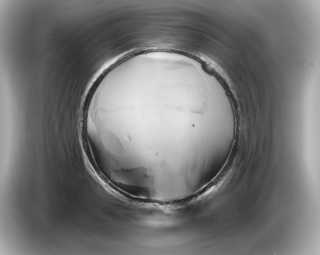 X0000086020941200704091111