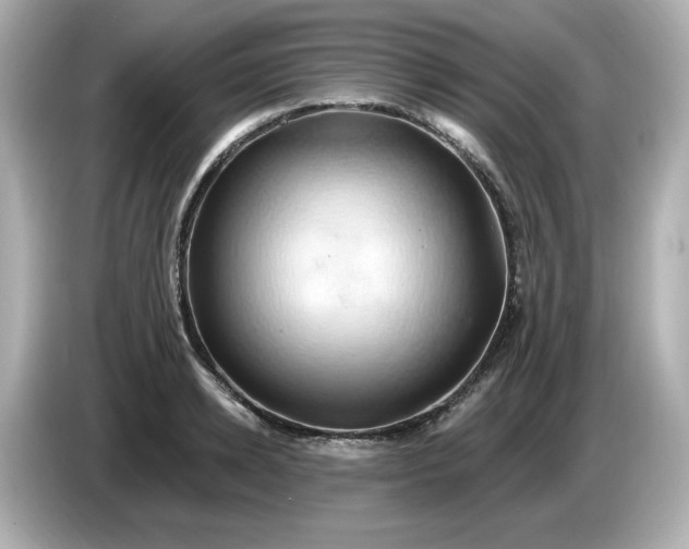 X0000086020942200704091111