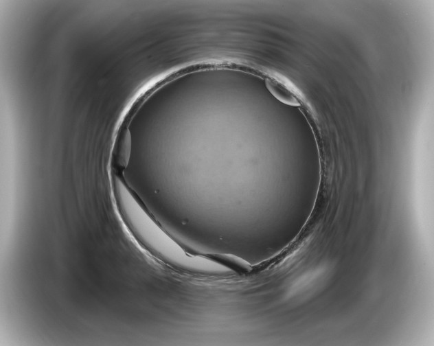 X0000086020943200704091111