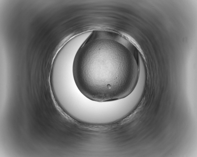 X0000086020946200704091111