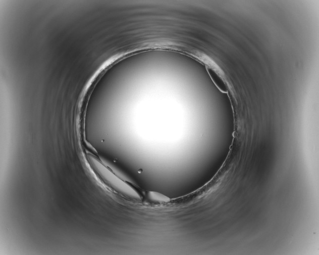X0000086020947200704091111
