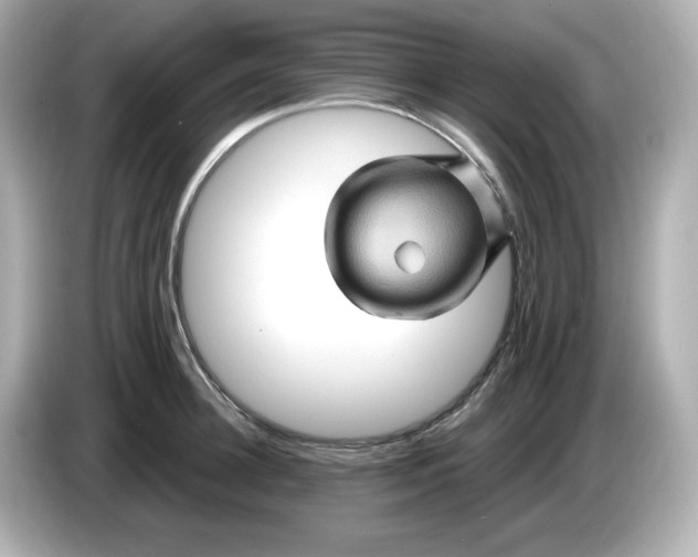 X0000086020948200704091111