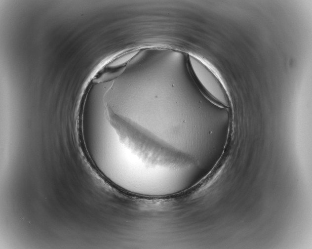 X0000086020949200704091111