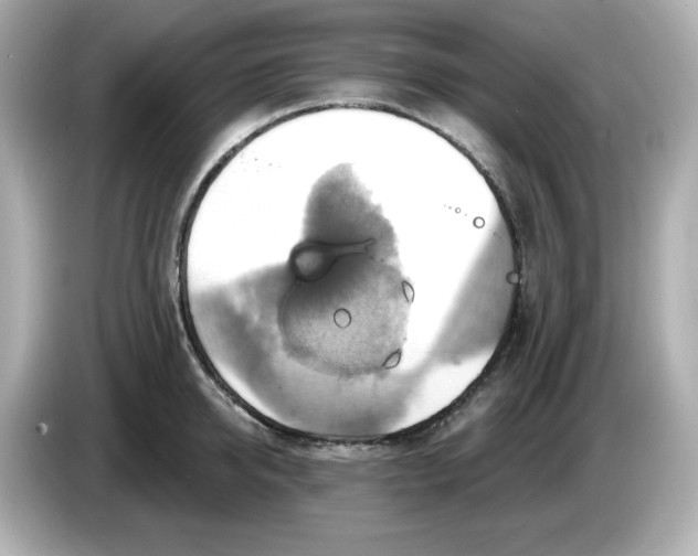 X0000086020950200704091111