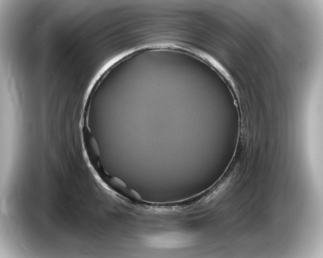 X0000086020951200704091111