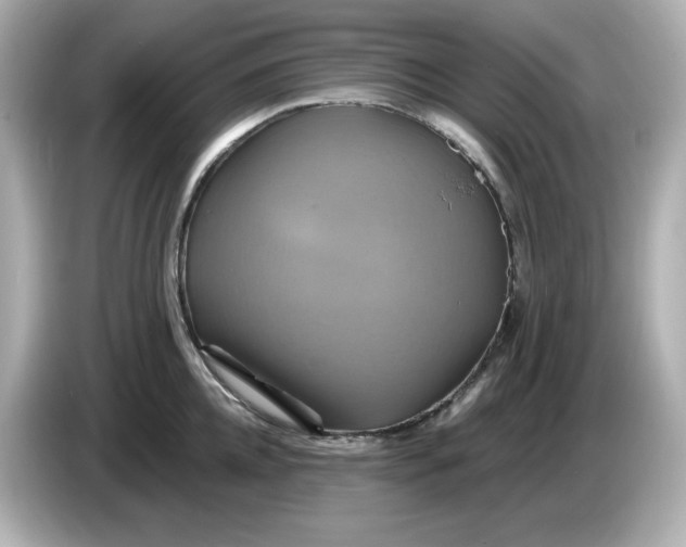 X0000086020952200704091111