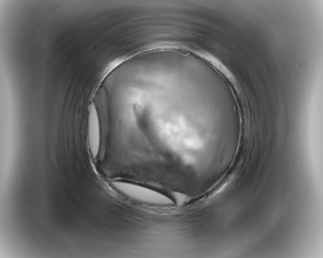 X0000086020953200704091111