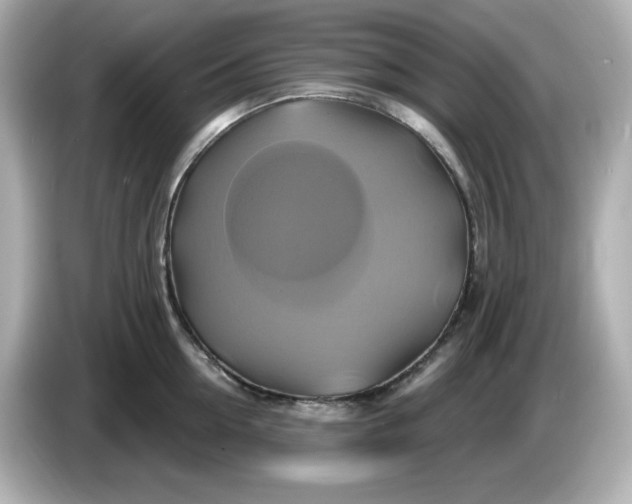 X0000086020954200704091111