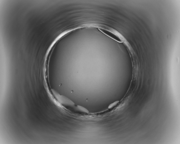 X0000086020955200704091111