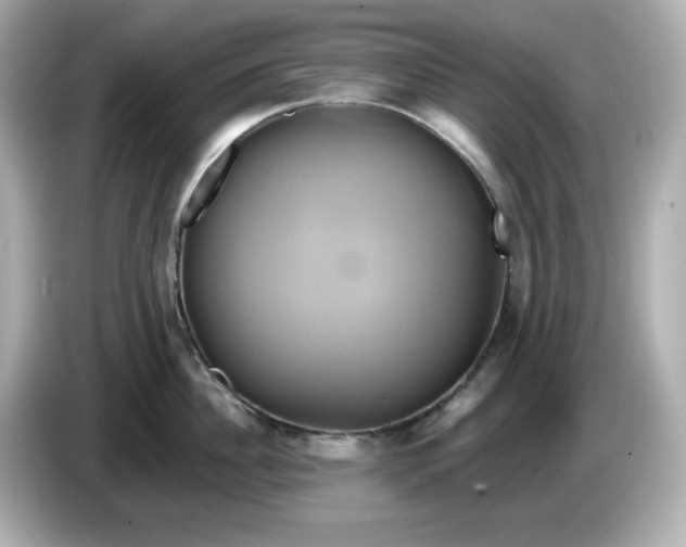 X0000086020956200704091111