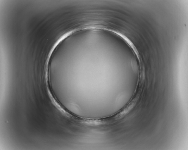 X0000086020957200704091111